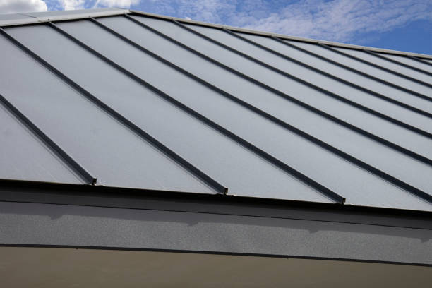 Best Roof Repair  in Dublin, GA